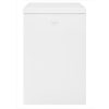 BEKO Congelatore a pozzo HS210530N 107 Litri