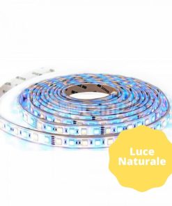 Alternative view of V-TAC Striscia Led 5050 Multicolore RGB+W 60 Led/Metro - Bobina da 5 Metri